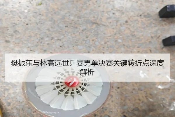 樊振东与林高远世乒赛男单决赛关键转折点深度解析
